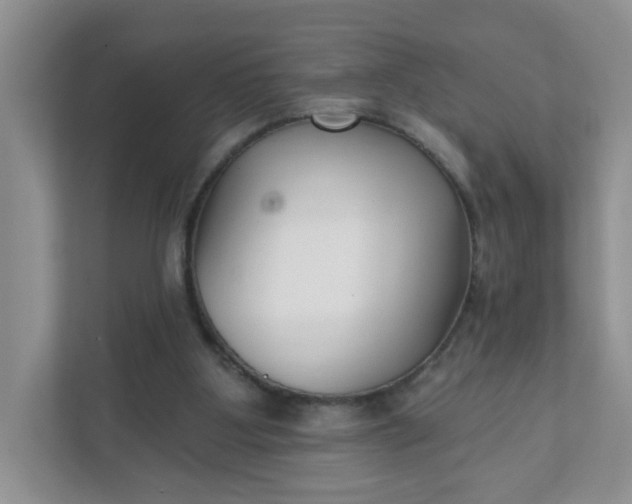 X0000111420107200907271151