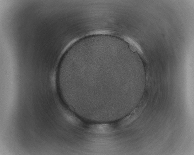 X0000111420108200907271151