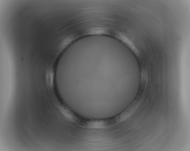 X0000111420110200907271151