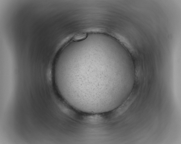 X0000111420112200907271151