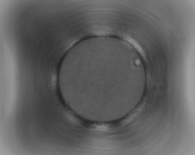 X0000111420113200907271151