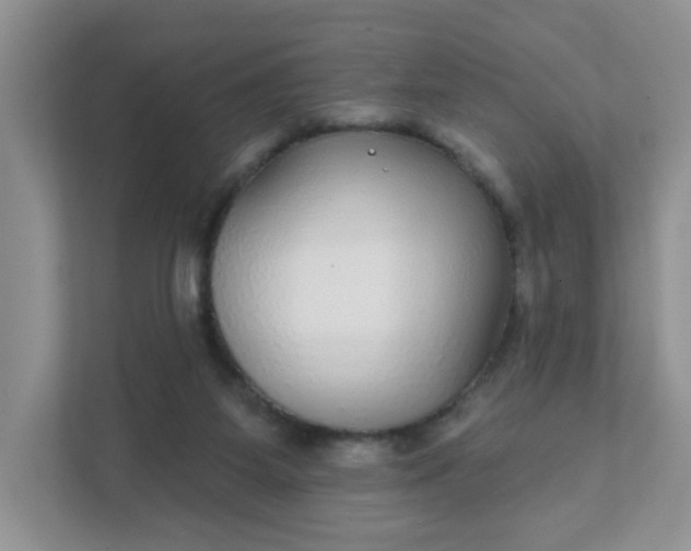 X0000111420115200907271151