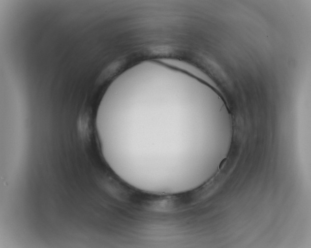 X0000111420116200907271151