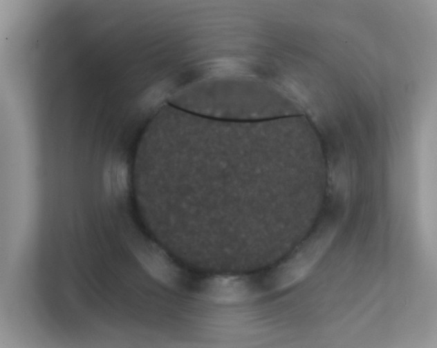 X0000111420117200907271151