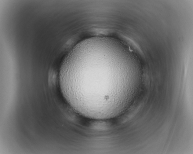 X0000111420123200907271151