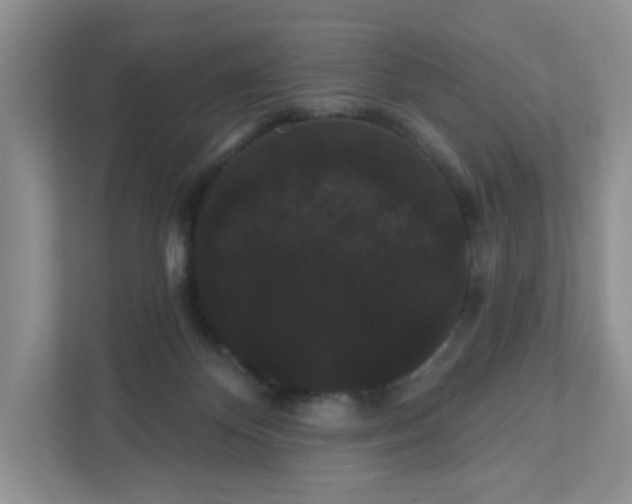 X0000111420124200907271151