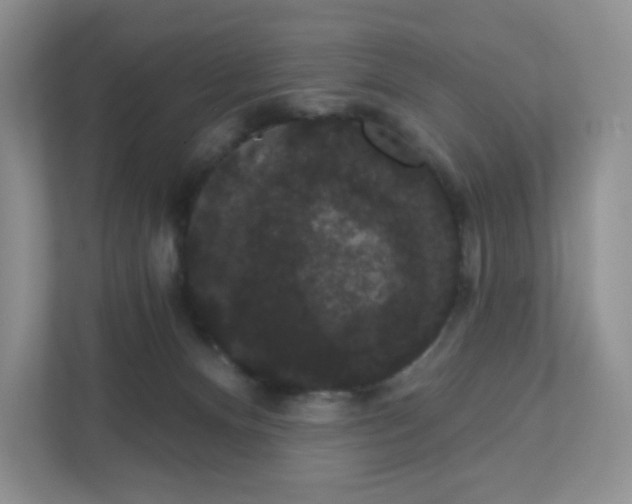 X0000111420128200907271151