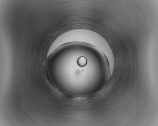 X0000111420137200907271151