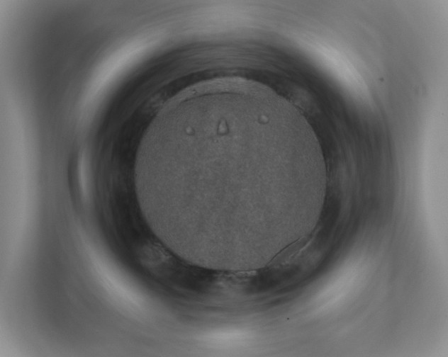 X0000111420140200907271151