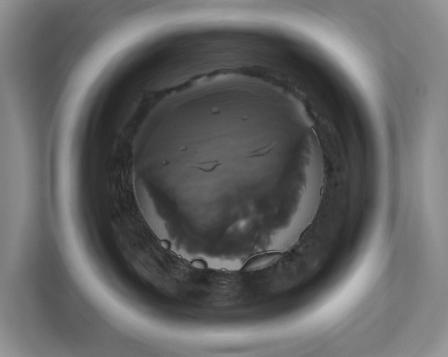 X0000111420143200907271151