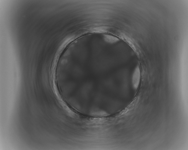 X0000111420145200907271150