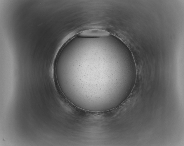 X0000111420148200907271150