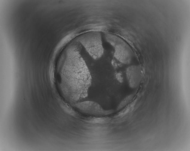 X0000111420149200907271150