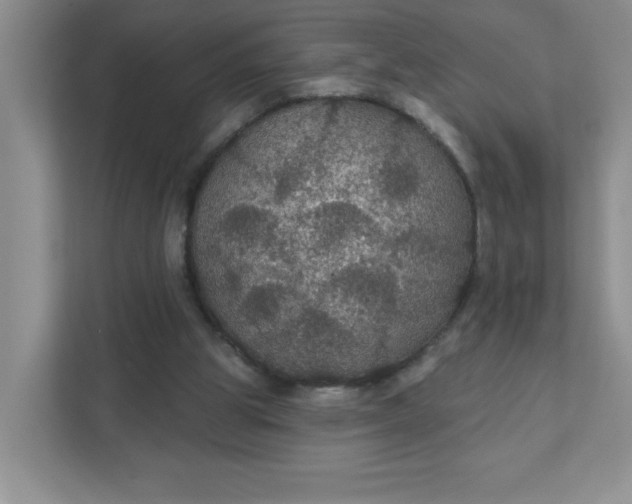 X0000111420153200907271150