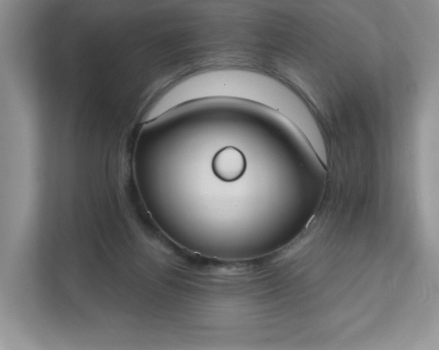 X0000111420164200907271150