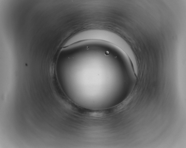 X0000111420168200907271150