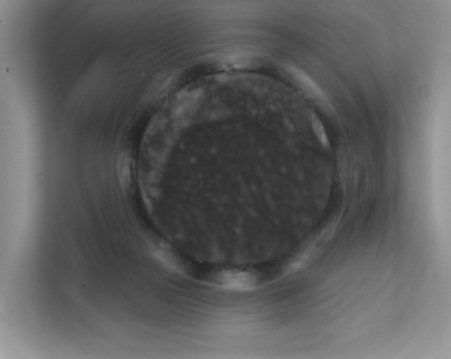 X0000111420169200907271150