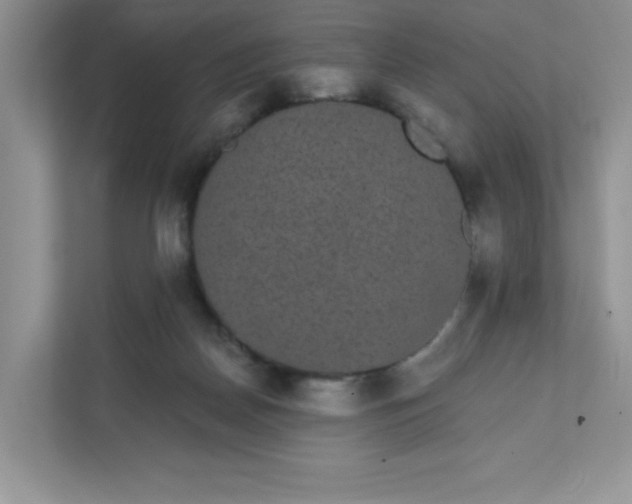 X0000111420170200907271150