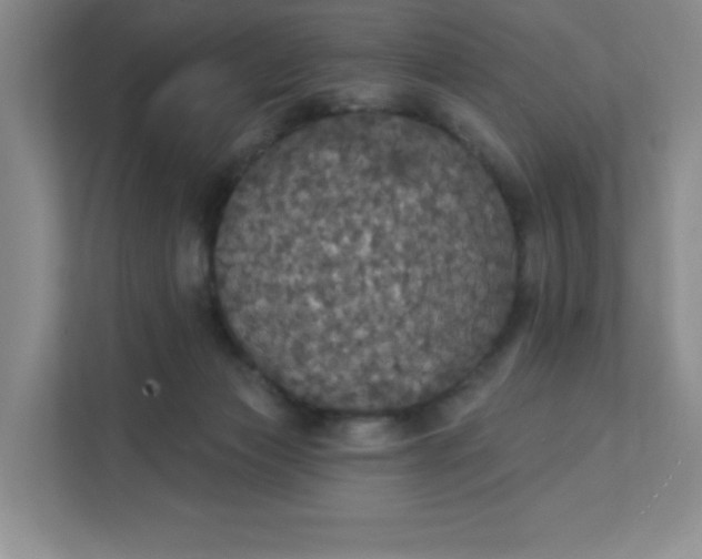 X0000111420173200907271150