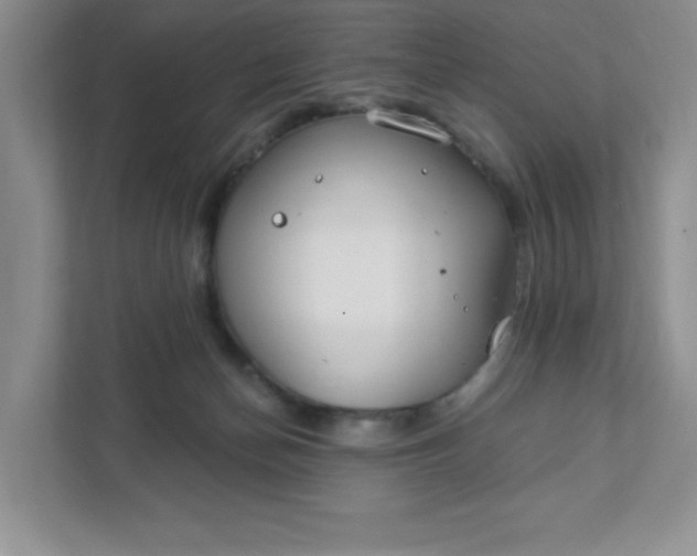 X0000111420174200907271150