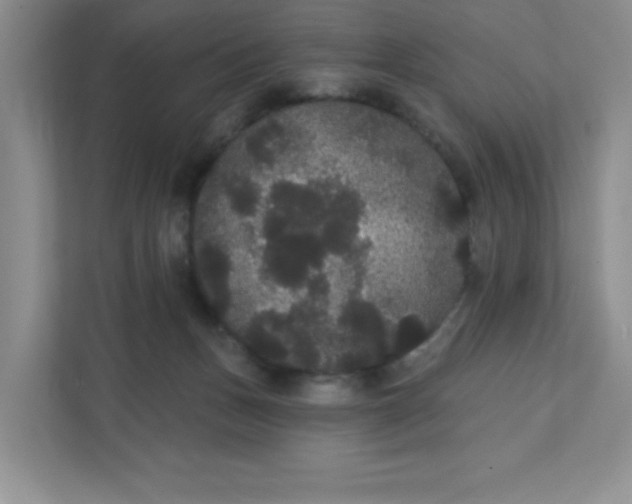 X0000111420175200907271150