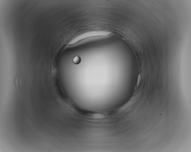 X0000111420176200907271150