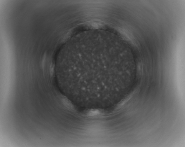 X0000111420177200907271150