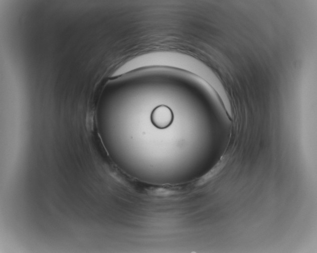 X0000111420180200907271150