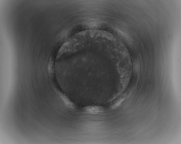 X0000111420181200907271150