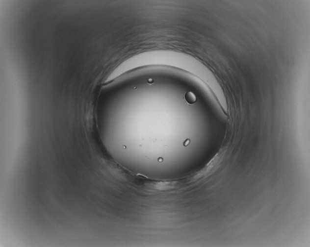 X0000111420184200907271150