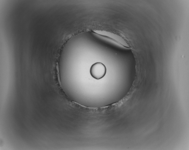 X0000111420192200907271151