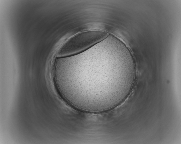 X0000111420193200907271150