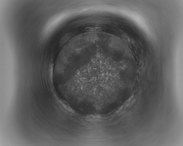 X0000111420194200907271150