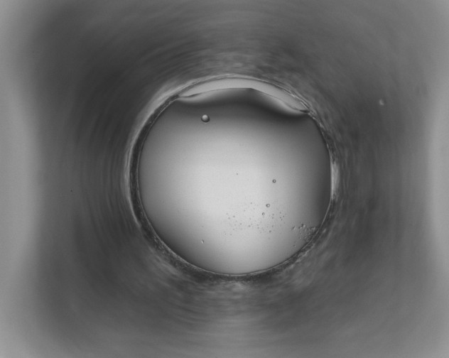 X0000111420195200907271150