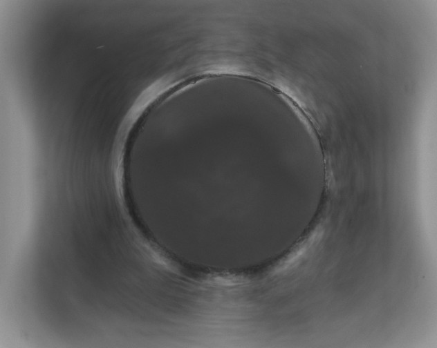 X0000111420199200907271150