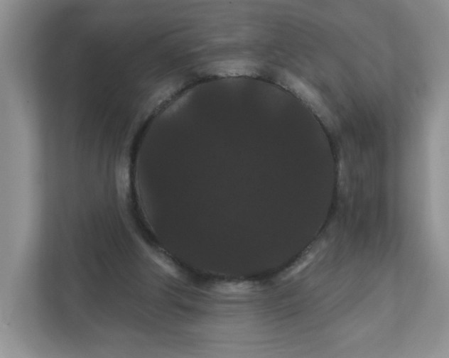 X0000111420202200907271150