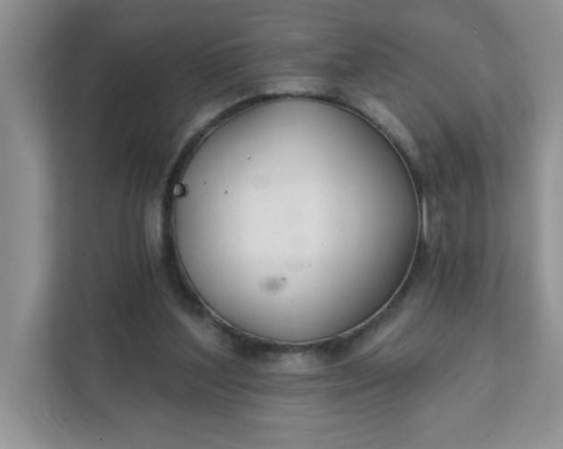 X0000111420204200907271150