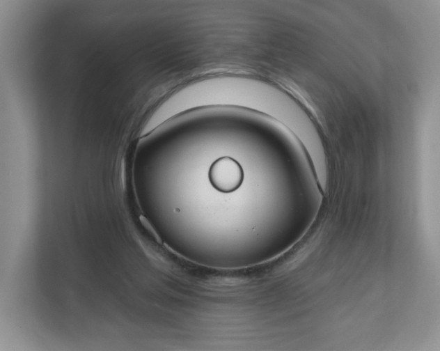 X0000111420205200907271150