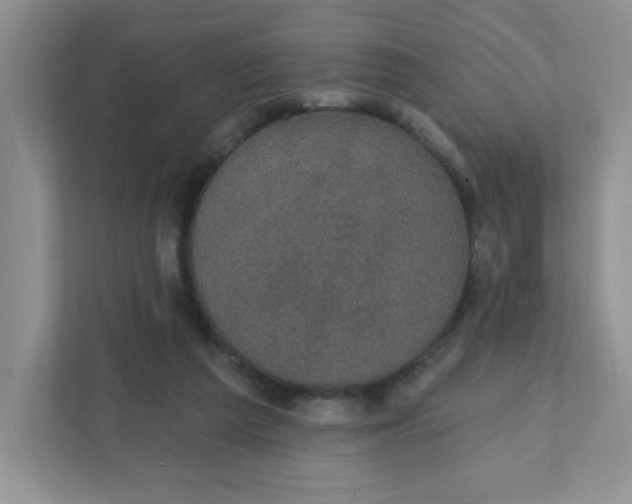 X0000111420209200907271150