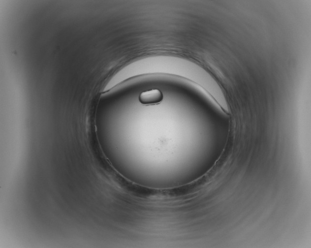 X0000111420211200907271150