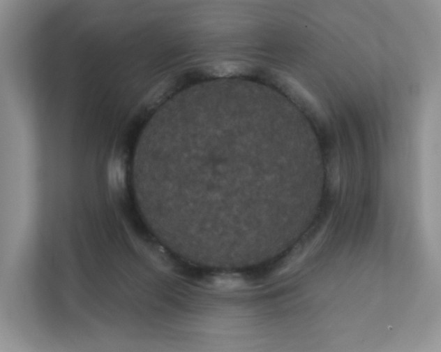 X0000111420214200907271150