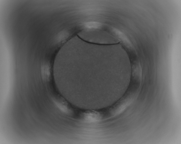 X0000111420215200907271150