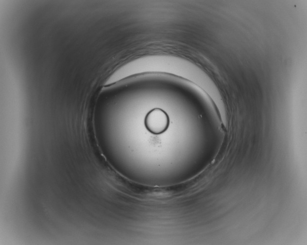 X0000111420217200907271150