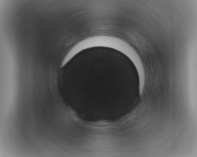 X0000111420219200907271150