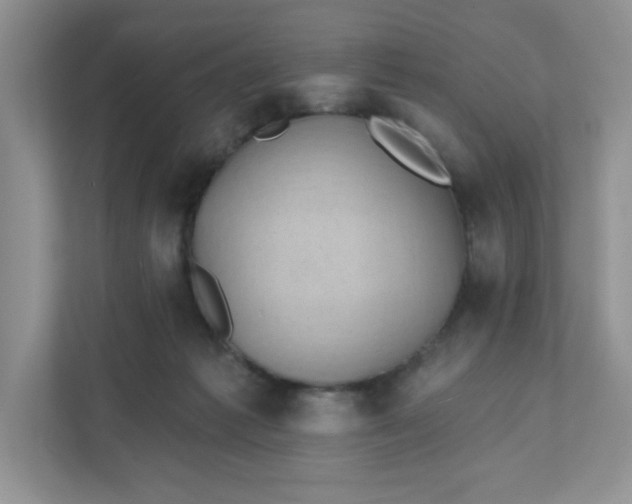 X0000111420221200907271150