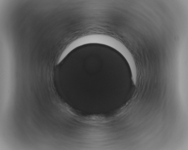 X0000111420223200907271150