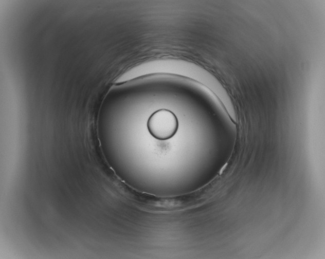 X0000111420225200907271150