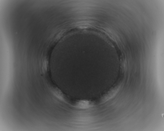 X0000111420227200907271149