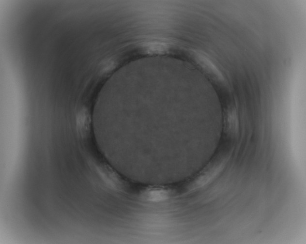 X0000111420228200907271149