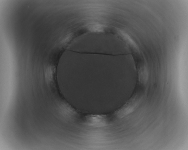 X0000111420229200907271149